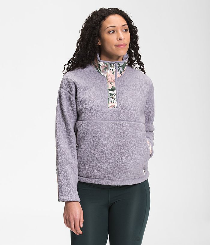 The North Face Womens Pullover Cragmont Fleece ¼ Snap 260BRUINW - Grey